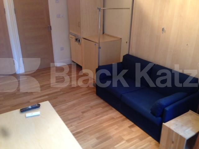 			New Instruction, Studio Apartment, 1 bath, 1 reception Studio			 Greville Street , Hatton Garden/ Farringdon/Holborn